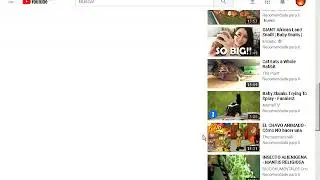 Use Your Own YouTube Videos to Find More Videos You Like