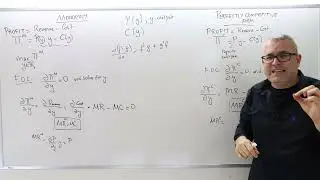 (IME2) Chapter 1 - Video 3: Profit Maximization Problem of the Monopolist.