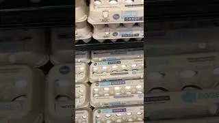 The price of eggs…