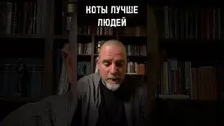 КОТЫ ЛУЧШЕ ЛЮДЕЙ #психология #психолог #отношения #коммуникация #консультацияпсихолога #кот #коты