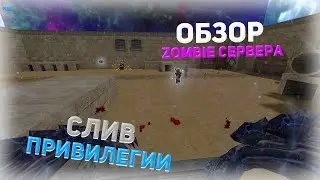 СЛИВ ПРИВИЛЕГИИ | ОБЗОР ZOMBIE СЕРВЕРА - Counter-Strike 1.6