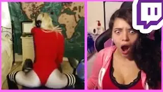 Twitch Girls Gone Wild