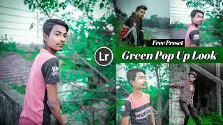 Moddy Green Preset - Lightroom Mobile Preset DNG | Green Pop Up Look Preset - Naughty Abhishek Editz