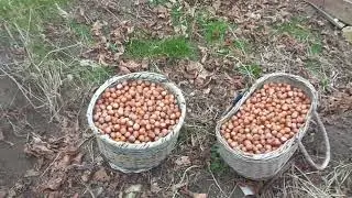 Что бы выжить в катаклизЬме...