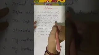 Adverbs in English Grammar 