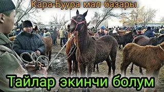 Кара-Буура мал базары Тайлар экинчи болум 26-Февраль 2022