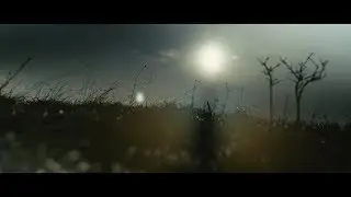 The Canyon Observer - Mirrors (Official Video)