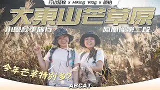 『大東山』🌾 芒草原 ｜今年芒草特別多｜小學秋季旅行｜鳳凰徑第二段｜[4K] Hiking Vlog＃128 SUNSET PEAK LANTAU TRAIL SECTION 2