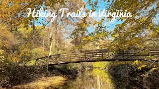 Hiking Trails in Virginia