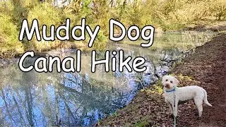 Muddy Dog Canal Walk | Nottingham Canal