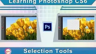 Learning Photoshop CS6: Selection Tools