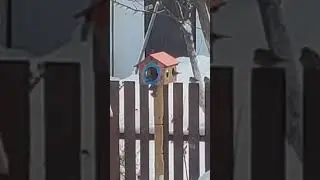 26 ноября 2023 г.