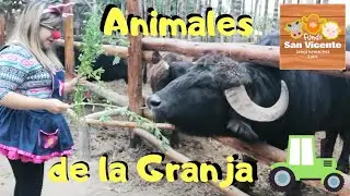55. "Animales de la granja" - Clases Virtuales Inicial