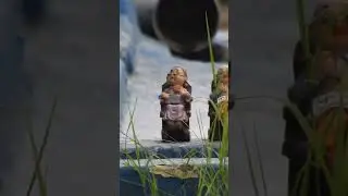 NIKON P900 ZOOM TEST |AVAILABLE AT MUTHUKUMARAN CAMERAS 