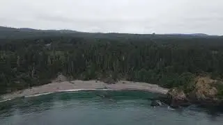 College Cove Beach Trinidad CA