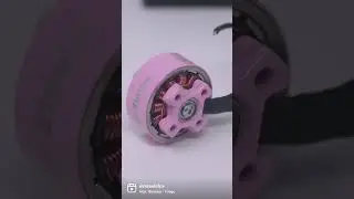 Mr Steele V5 motor