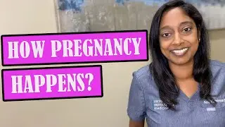 HOW PREGNANCY HAPPENS