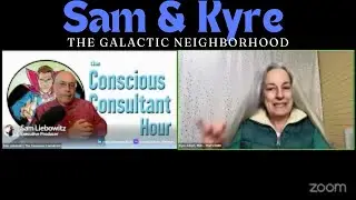 The Conscious Consultant Hour