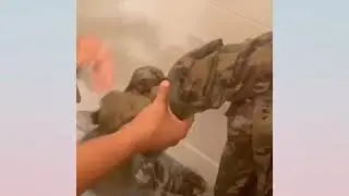 TikTok laundry stripping compilation