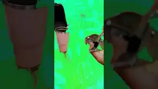 ルール番号九 私のクラスでは喧嘩は禁止です！ #animation #memes