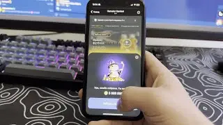 НОВЫЕ КОМБО КАРТЫ в HAMSTER KOMBAT! КАК ПОЛУЧИТЬ 5 МЛН МОНЕТ