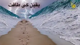 Belief (Yaqeen) System | Have Faith in Allah