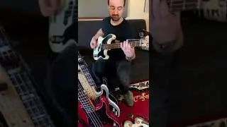 What’s your favorite rock p? #fender #precisionbass #duffmckagan #fenderbass #pbass #steveharris