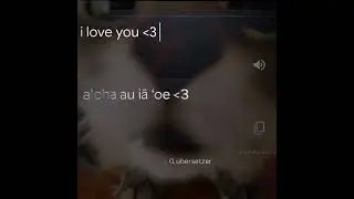 yay 