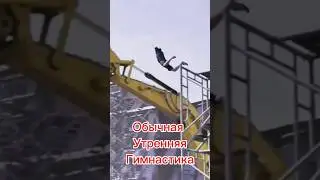 #юмор #мышление #funny #смех
