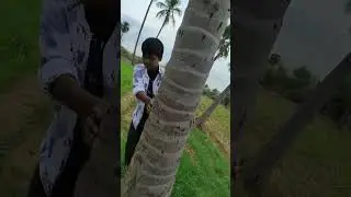 karinkaliyalle FaFa Reels