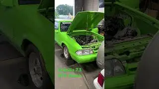 7.3 Godzilla BTR Intake #holleyefi #briantooleyracing #ford #dyno