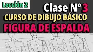 Curso de dibujo básico/ L2 - Clase 3 - Estructura de Espalda (hombre y mujer) - Paso a paso