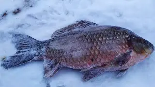 МЕГА КАРАСЬ !!!! на ультралайт зимой !!!!!