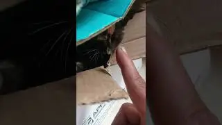 Ngumpet di sini...