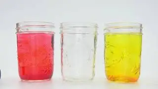 Walking Water Science Experiment!