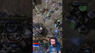 PROBES vs SCVS - INSANE PROTOSS vs TERRAN