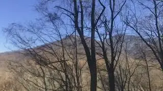 Smokey Mountains || Thanksgiving 2017