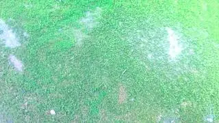 My Slideshow Video | Green Tech | Bangladesh