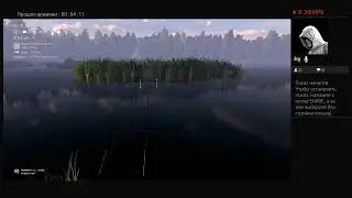уникальный линь Випинг Виллоу