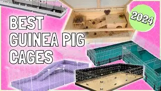 Guinea Pig Cages: 8 Best Picks for 2024 🏠