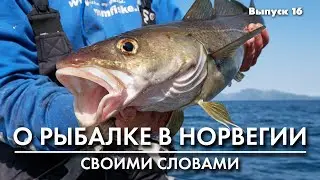 Рыбалка в Норвегии. Джиг головки Sand Eel