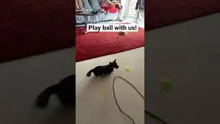Playing! 