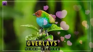 how to add overlays in videos premier pro