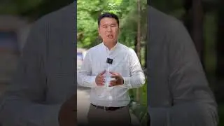 Бизди Аллах Жакшы көрөбү? 
