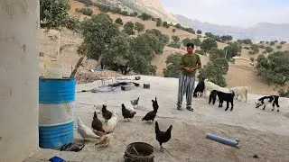 Nomadic Life: "The Hands That Make Life: Uncle's Tireless Efforts to Survive"
