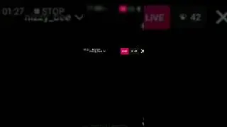 Nizzy bee - Live