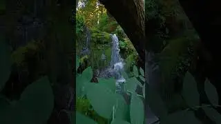 #naturevideo   #shorts #shortsvideo  #natureworld #statusvideo #trending  #relaxingmusic