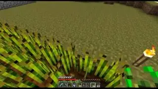 Bouncing Death Pac Vs. Herobrine Ep. 2 - Working on a Totem