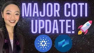 Major COTI Update! // Issuer of Cardano's Djed Stablecoin