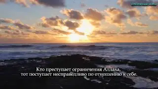 Идрис Абкар.  Сура  
